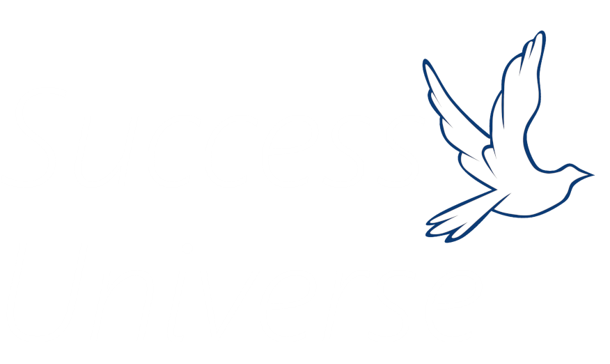 Success-Universe